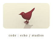 code echo studies